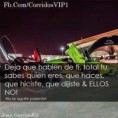 /album/fotogaleria/img-17858673212284-jpeg/