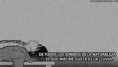 /album/fotogaleria/img-20459628514150-jpeg/