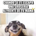 /album/fotogaleria/img-21048898314226-jpeg/